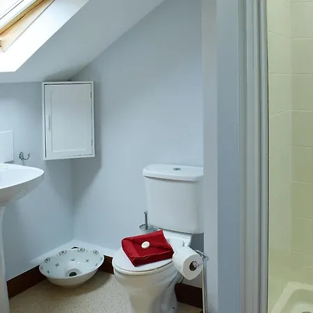 The Pad *